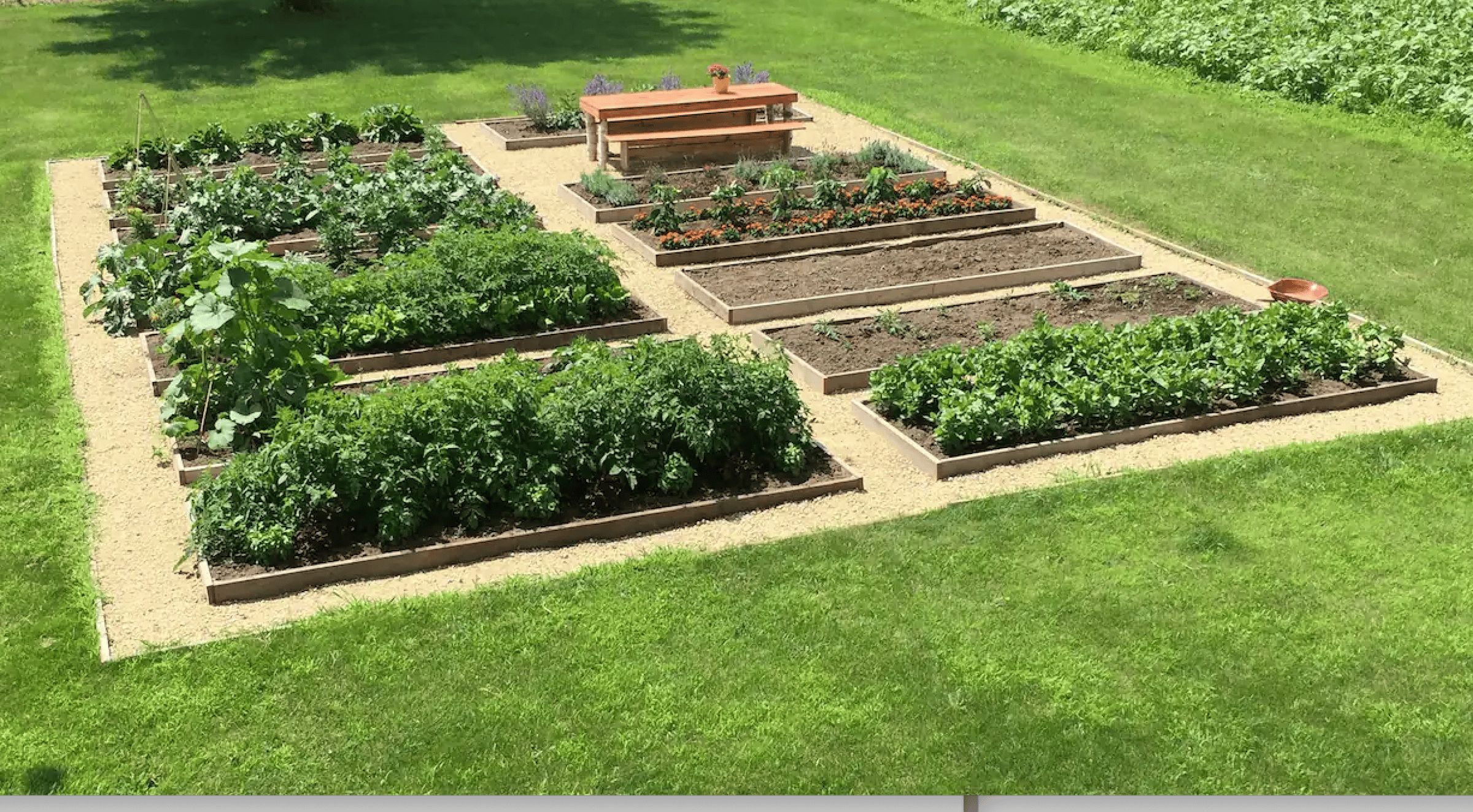 raised garden