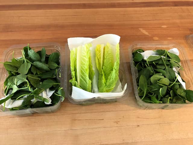 lettuce