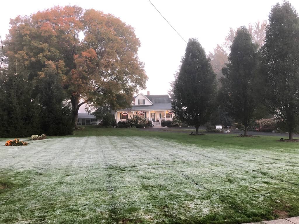 frosty fall