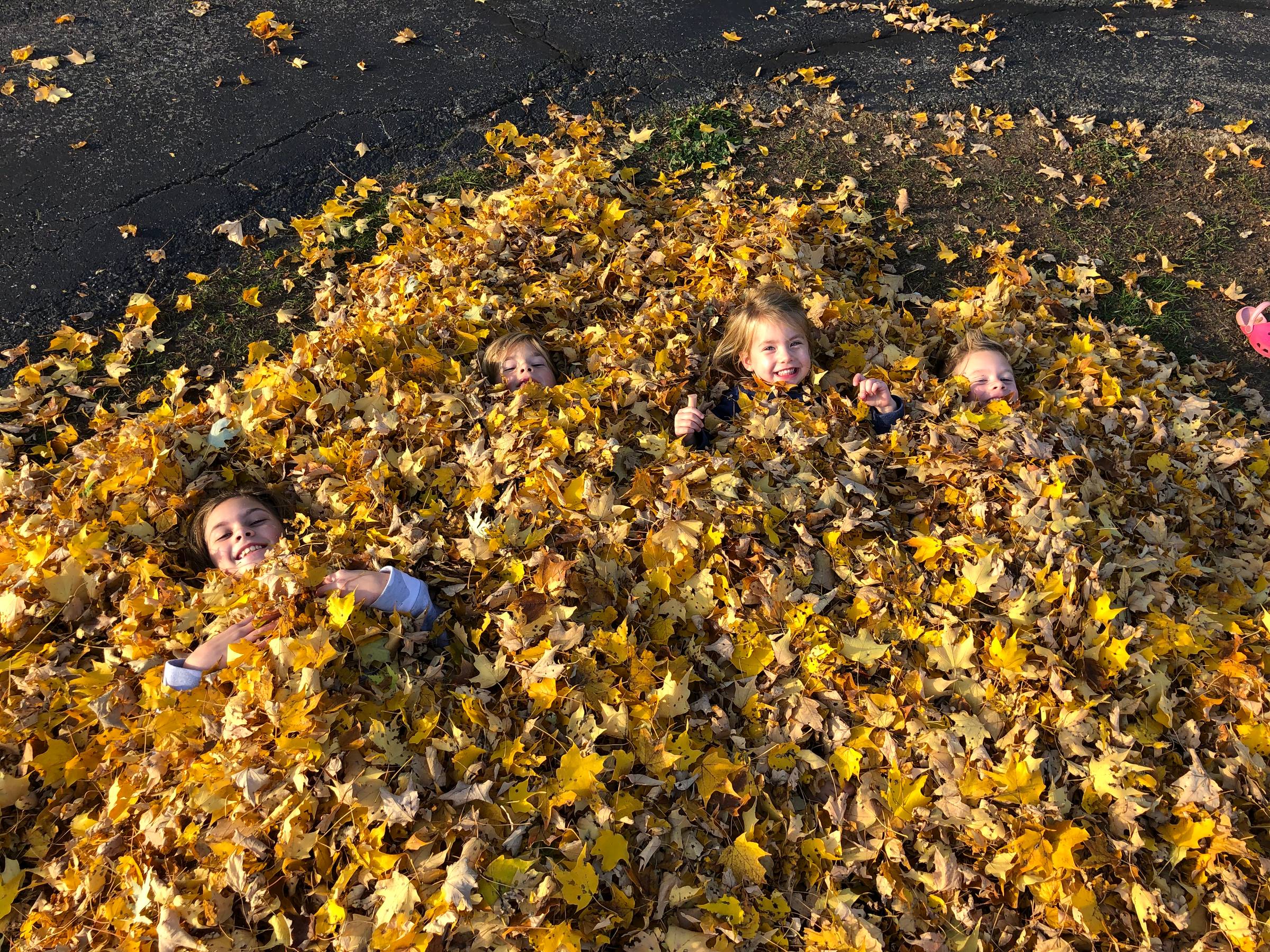 playing in the leaves