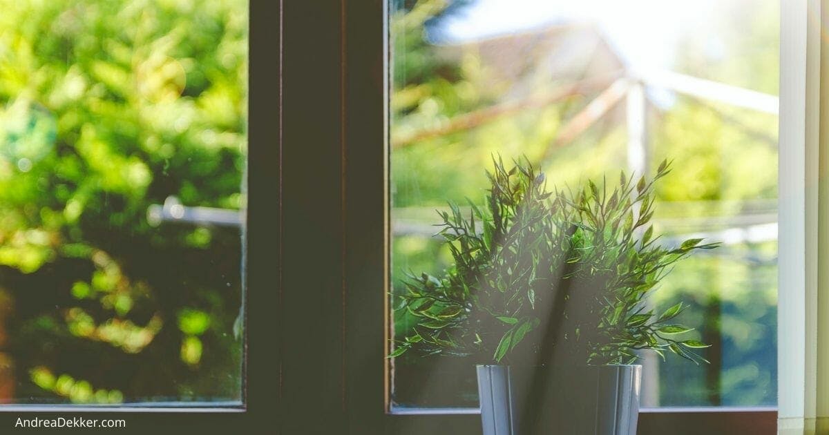 natural window cleaner