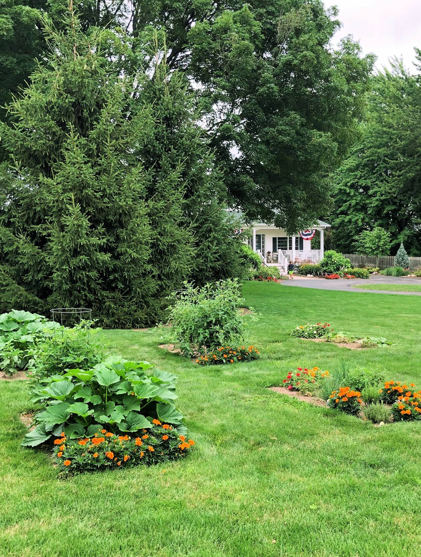 front yard vegetable garden