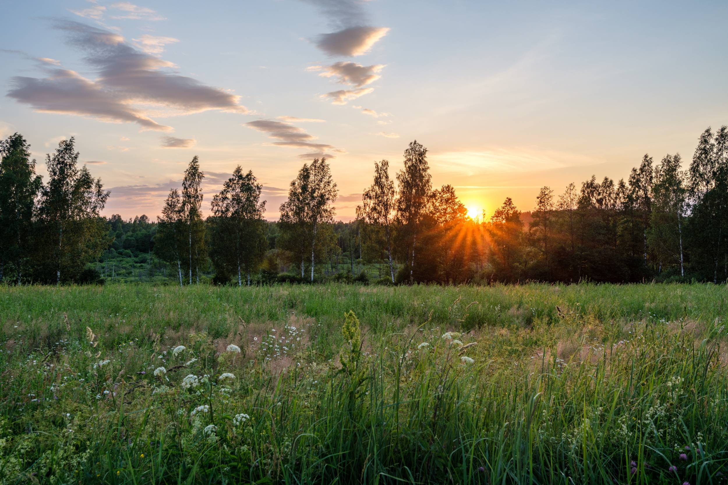 beautiful sunset