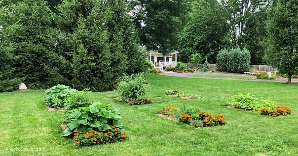 front yard garden