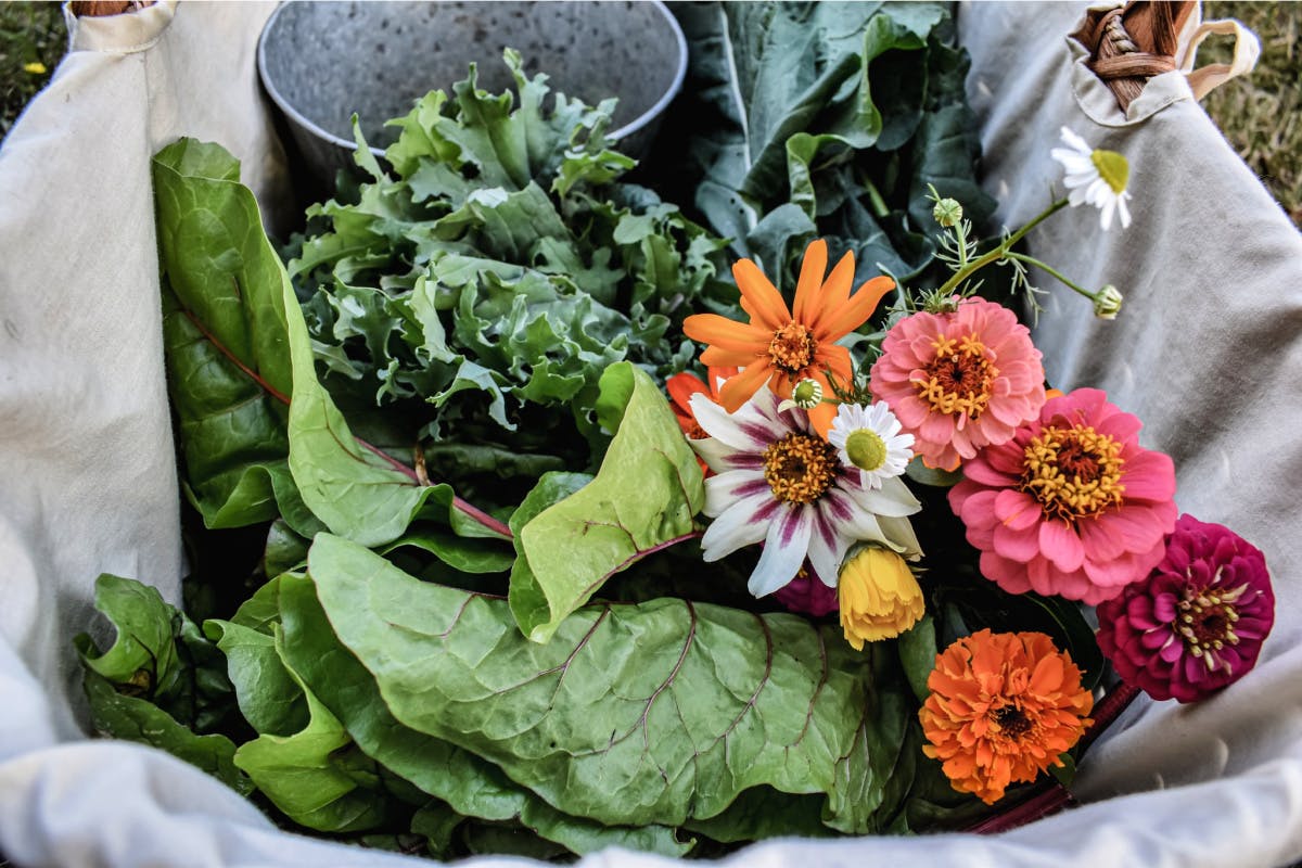 flowers and veggies