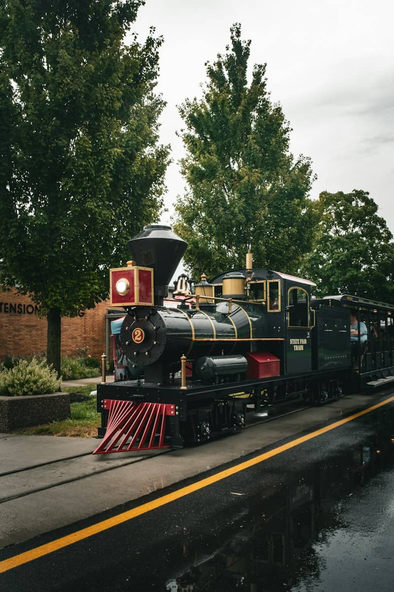 A black steam locomotive pulling passenger cars along a track near green trees
