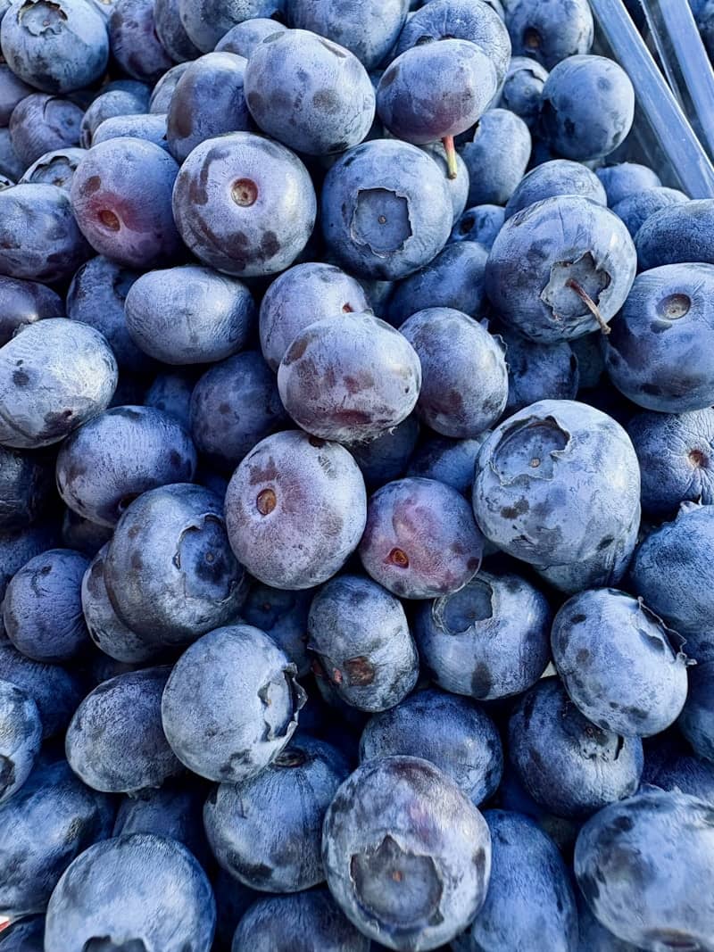 A large pile of fresh, ripe blueberries.