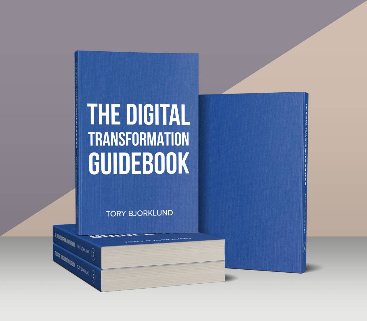 A mockup of my book.