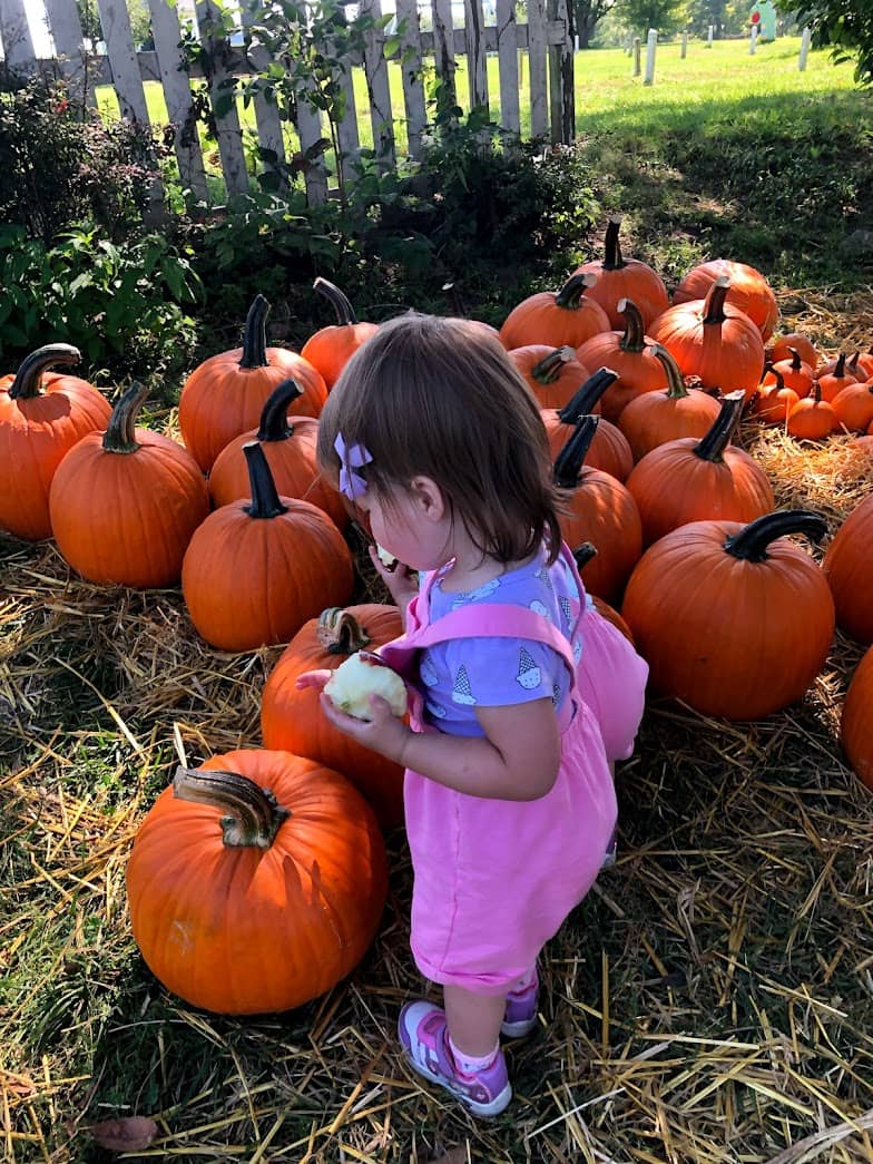 My daughter at a Kansas City pumpkin patch