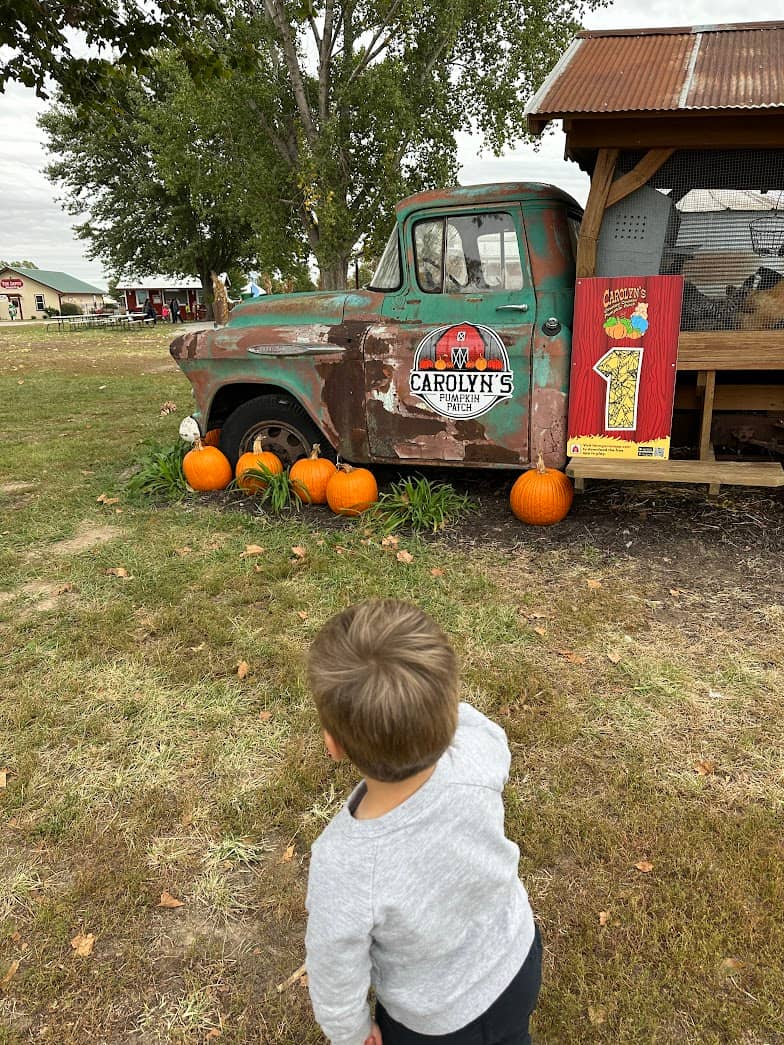 boy at pumpkin patch