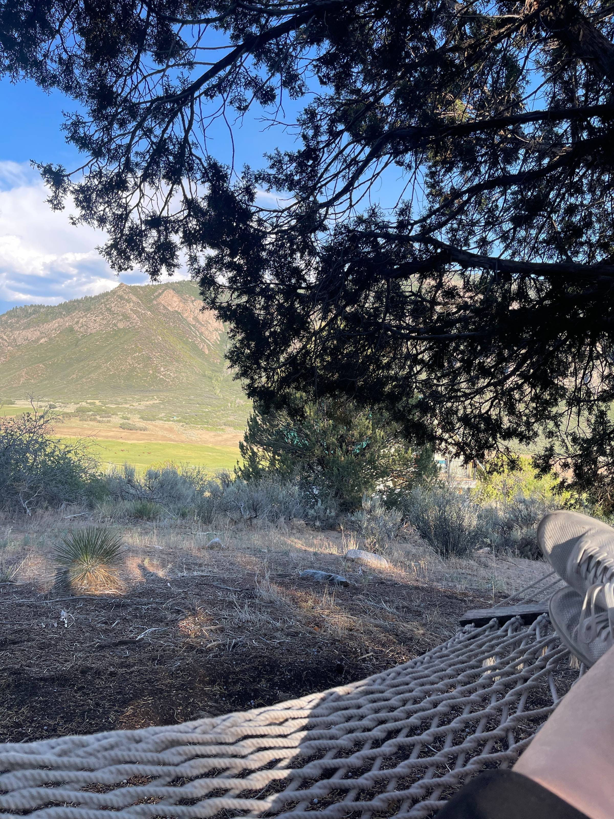 A person rests on a rope hammock under the shade of tall trees, looking out toward a sunlit mountain range and open valley. The foreground is dry earth and brush, while the distant hills rise green against a bright blue sky.