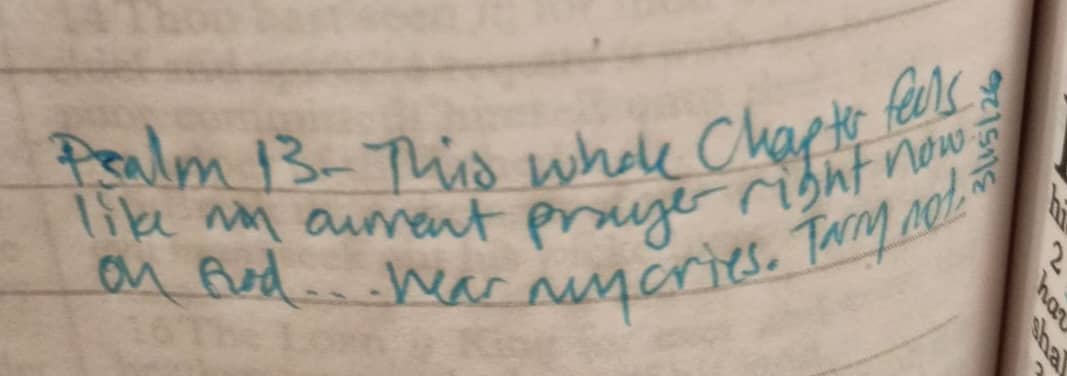part of a page in a journal with notes written about Psalm 13