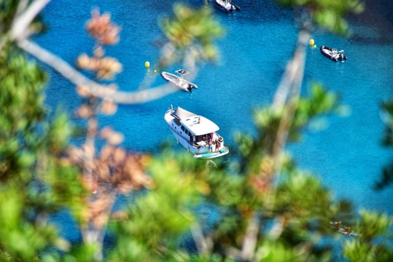 Boats on clear blue water with green foliage in foreground.