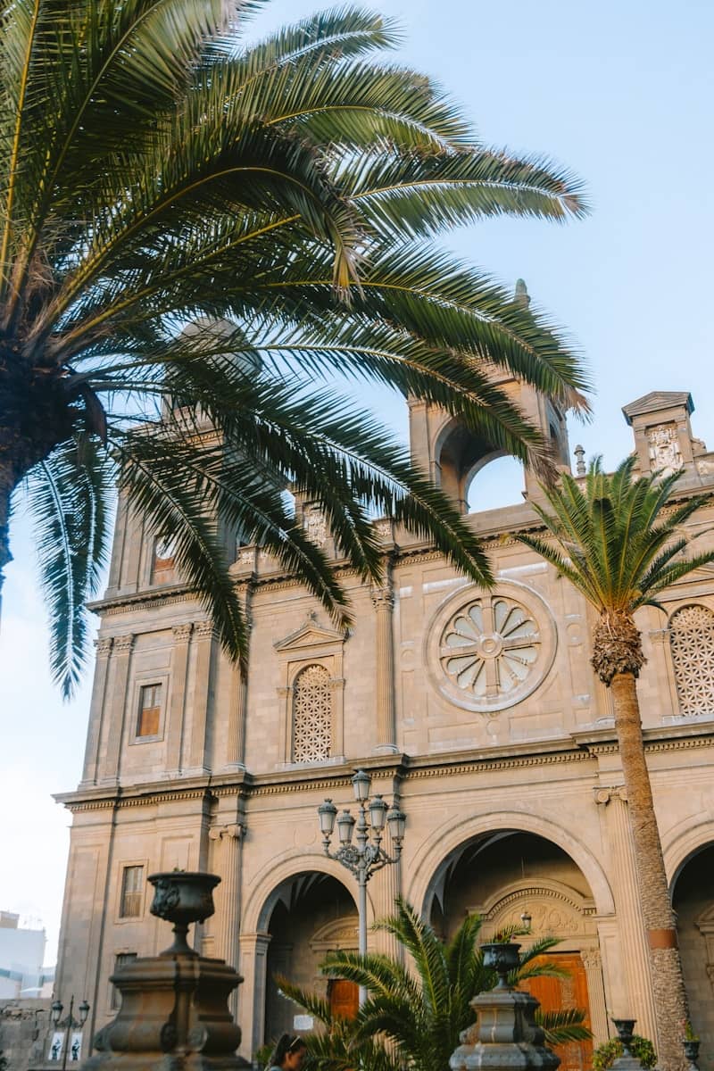 Palm trees frame a classic stone building.