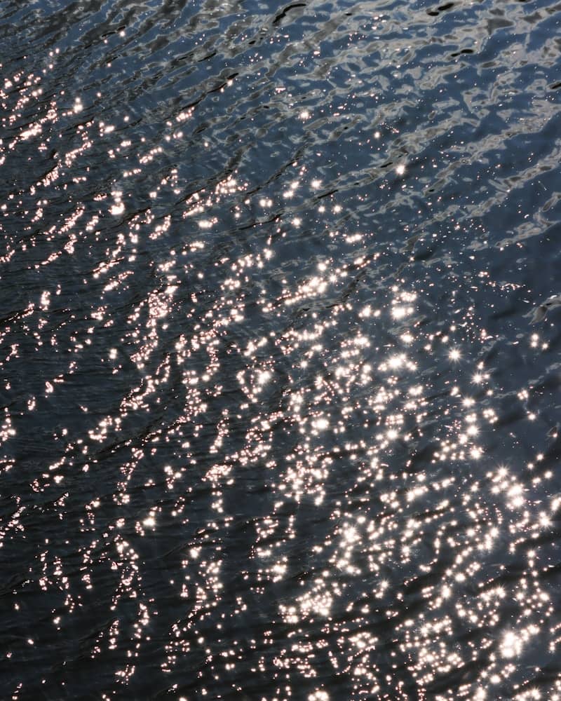 Sunlight sparkles on the water's surface.