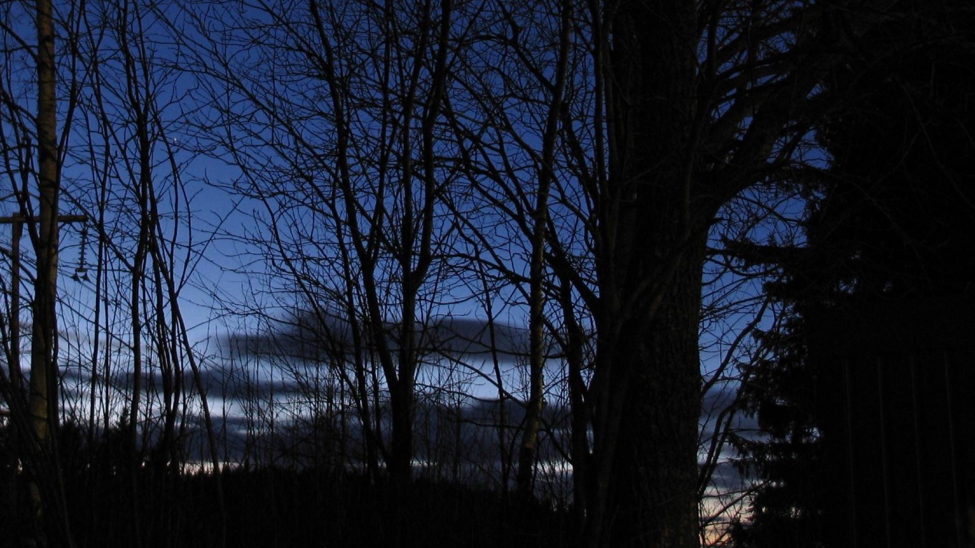 Iltamaisema, sininen taivas, mustat puut.