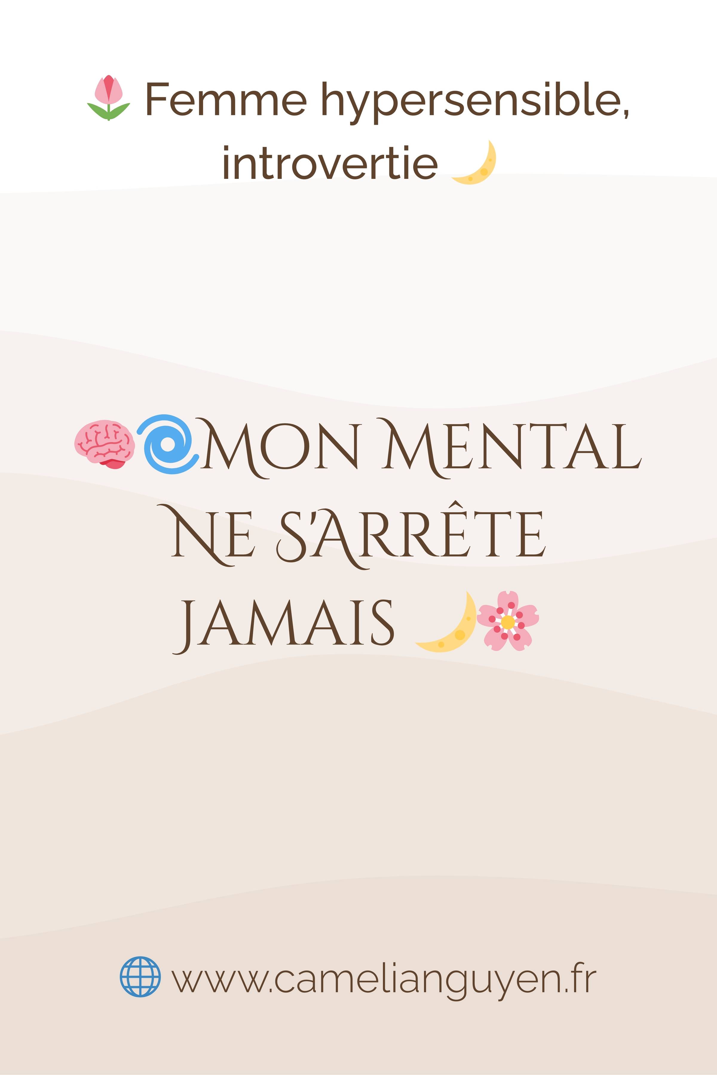 Mental qui tourne en boucle? Mon histoire: 12 ans thérapie?dépression?écriture salvatrice. Solution douce pour hypersensibles introverties ?