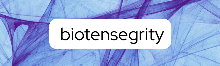 a graphic introducing biotensegrity: discontinuous compression, continuous tension. bones that float. the machine model's organic cousin