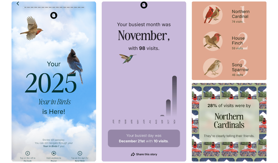 Birdbuddy screenshots of 2025 recap. Highlights include: Busiest Month was November with 98 visits. and 28% of visits were by Northern Cardinals.