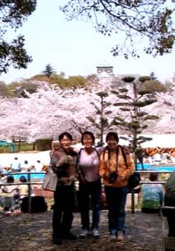 two woman and a man smiling at a photo, there are beautiful cherry blossom behind them, and the top of Osaka castle peaking over the cherry blossom