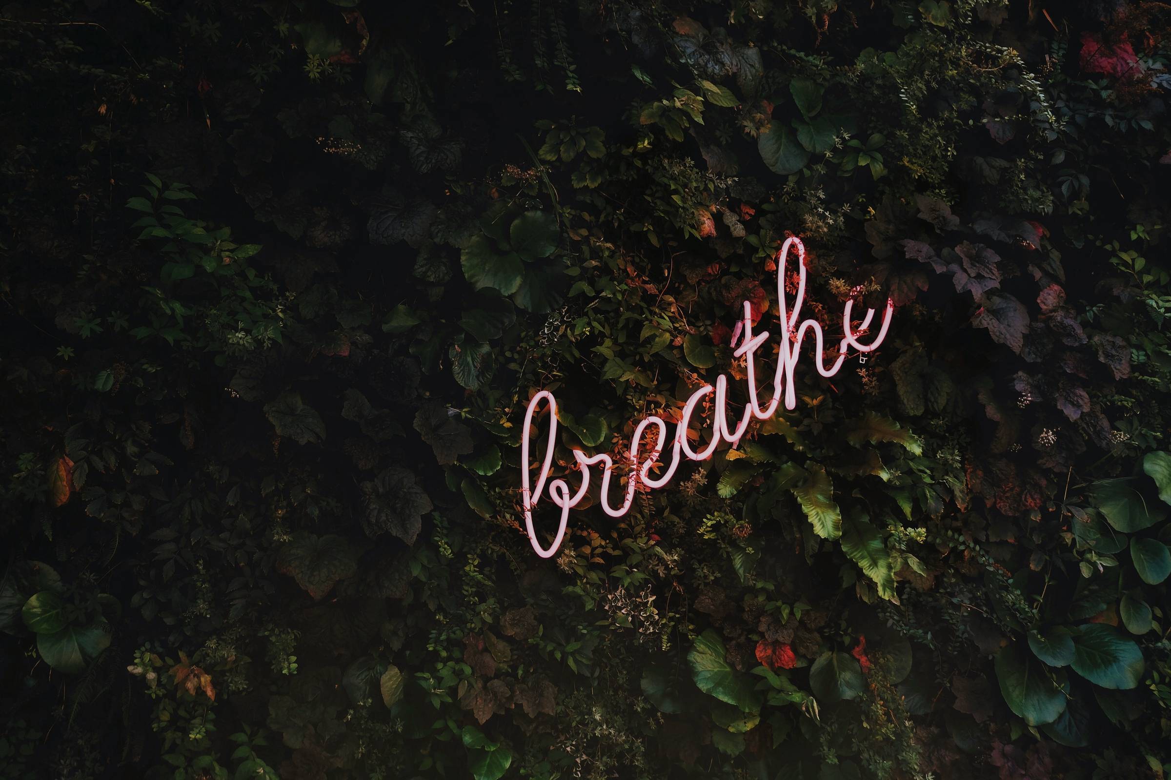 Virtual Breathwork