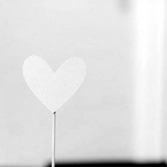 pink heart with brown stick