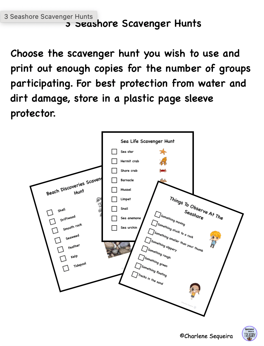 3 seashore scavenger hunts checklists