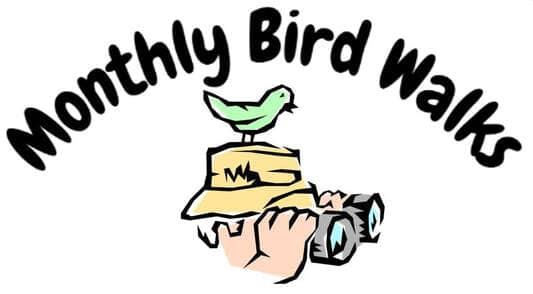 Monthly Bird Walks