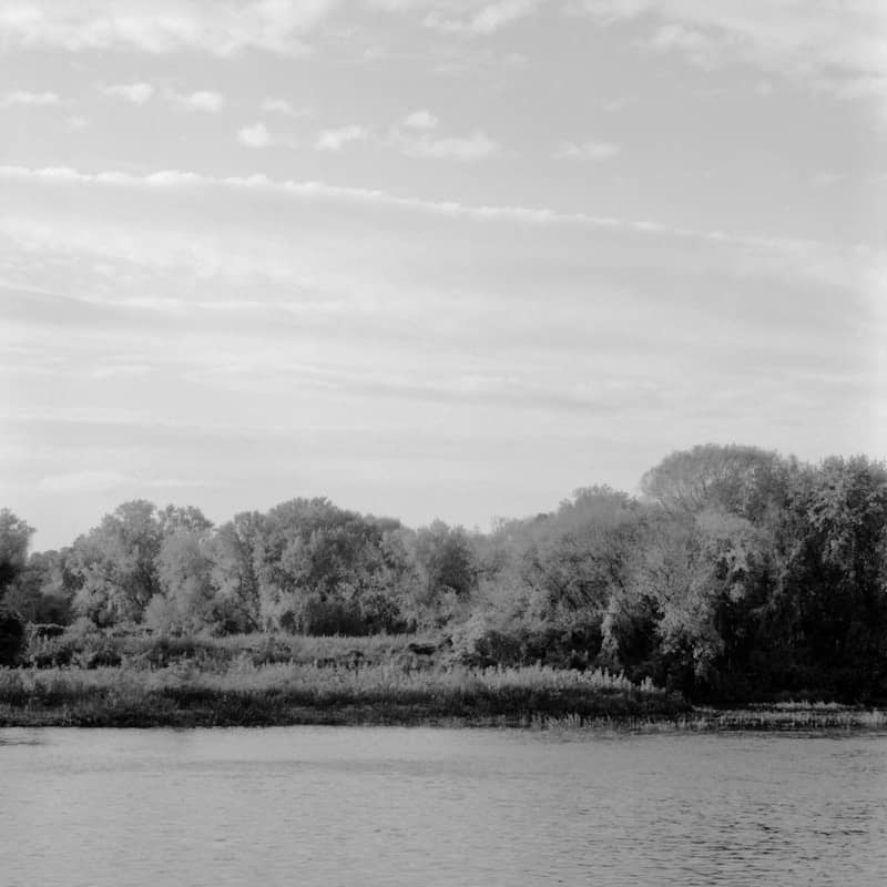 a lake with trees around it