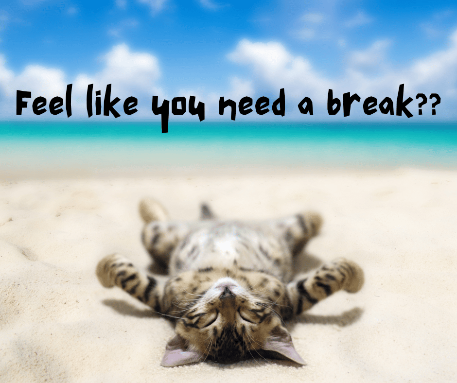 Want a break??