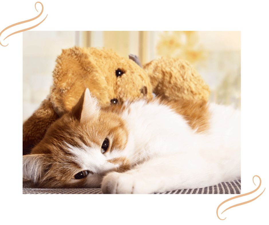 When clients grieve and turn on YOU