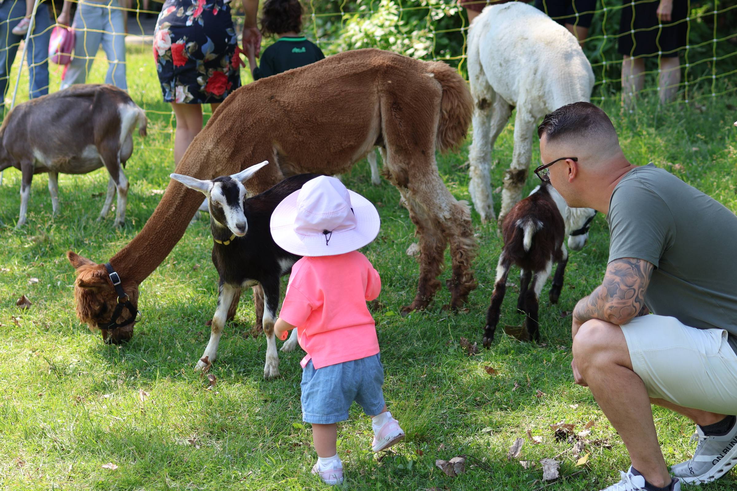 Visitors in the Laval Centre de la Nature interact with the animals