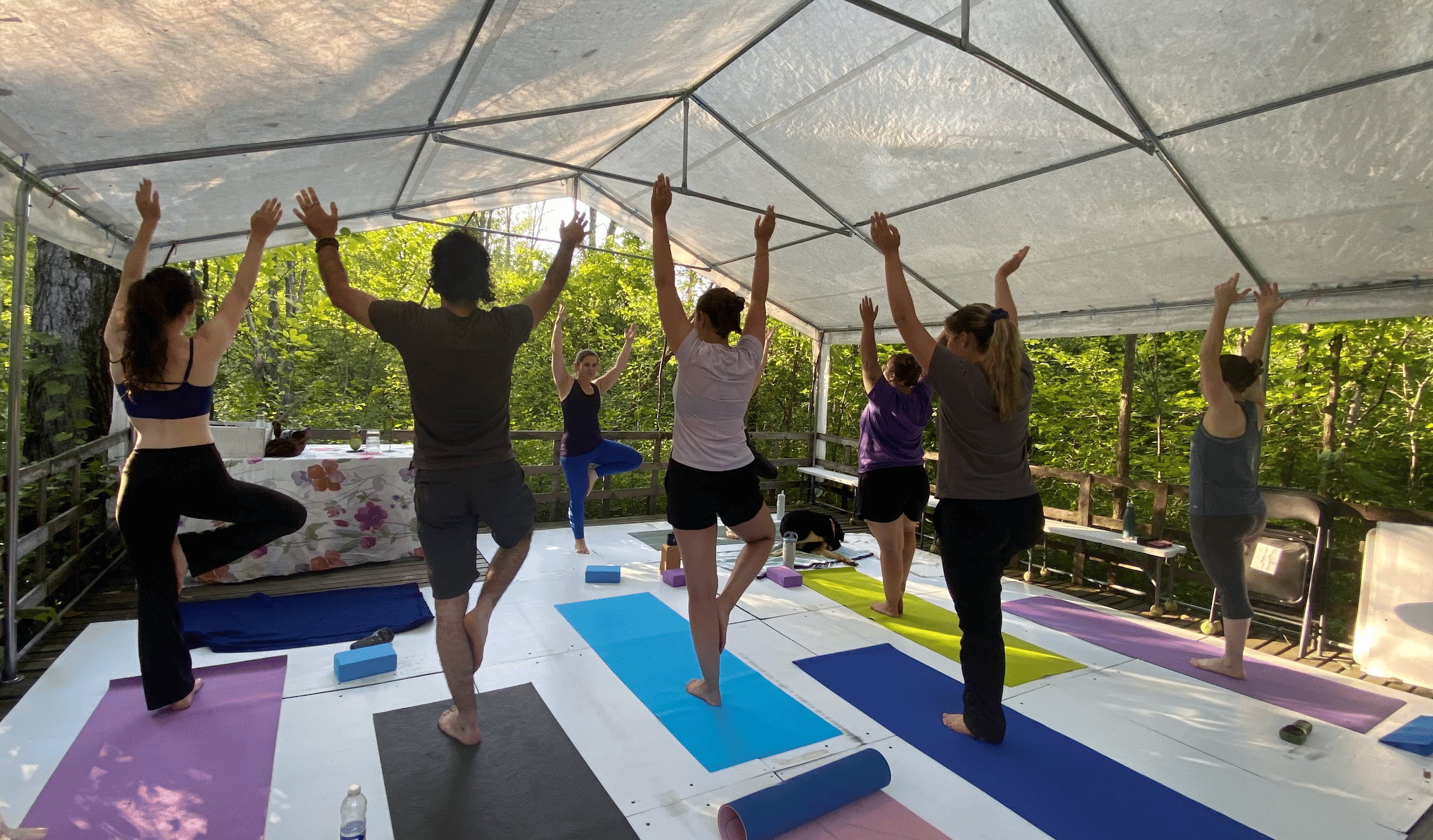 Yogis doing a tree pose during a yoga session