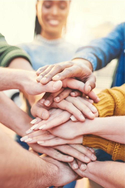 White and pink hyacinth flowers bloom in the garden.