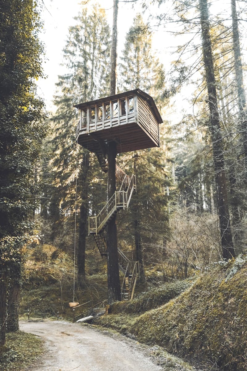 Systems Engineering a tree house