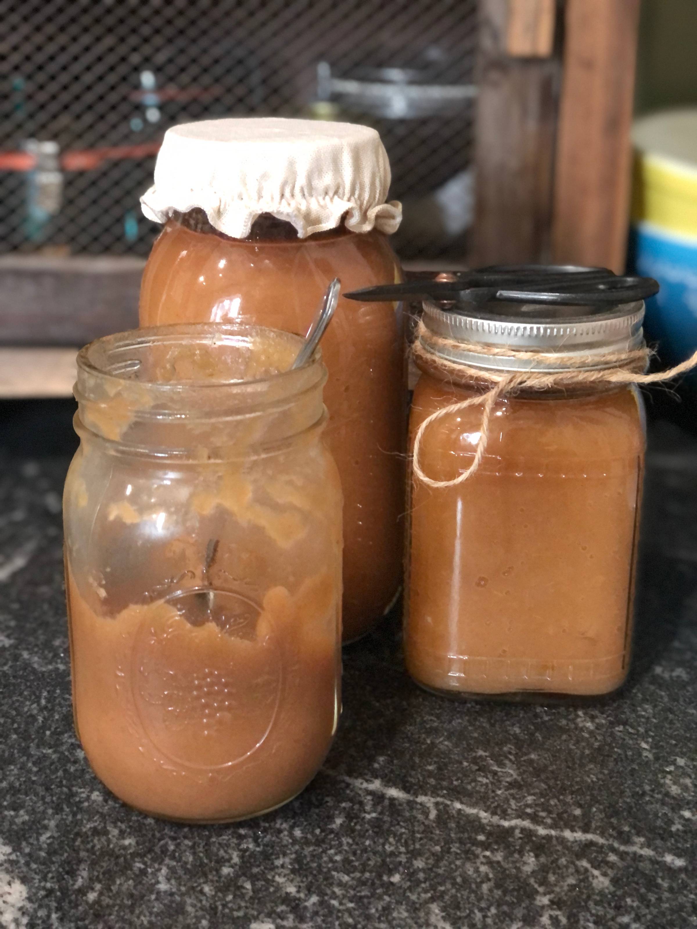 Applesauce, apple butter, applesauce walnut bread, water bath canning