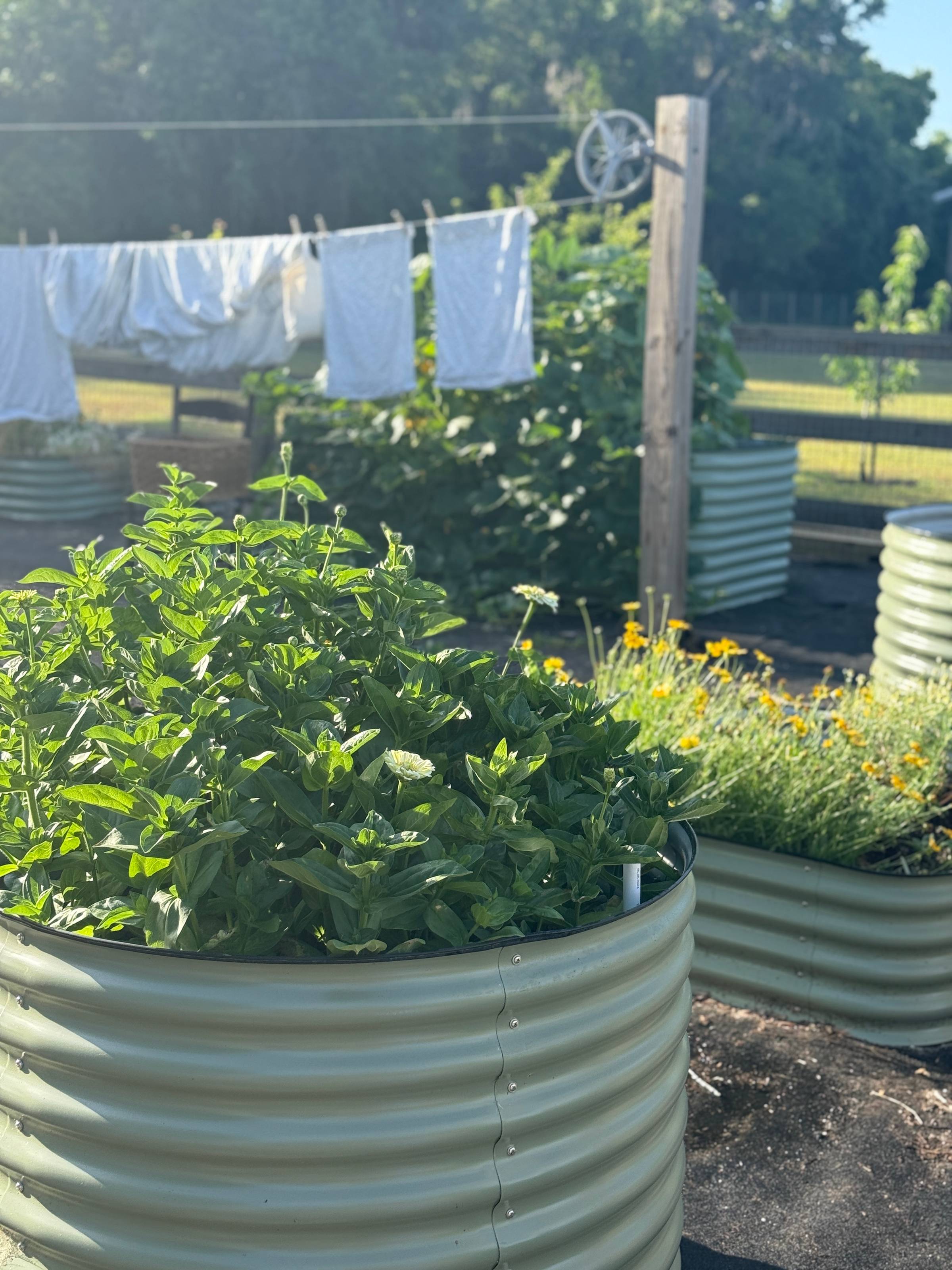 Birdie Raised Beds