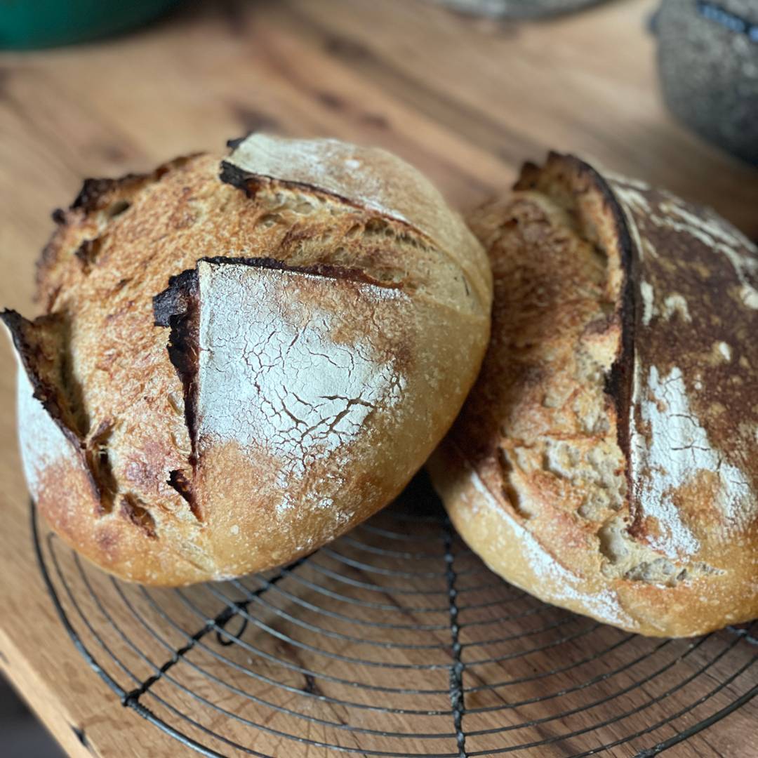 Sourdough Bread Using Fresh Milled Flour