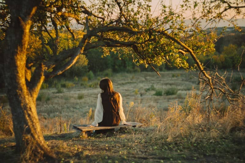 A person in a dark dress sitting on a wooden bench under a tree at golden hour
