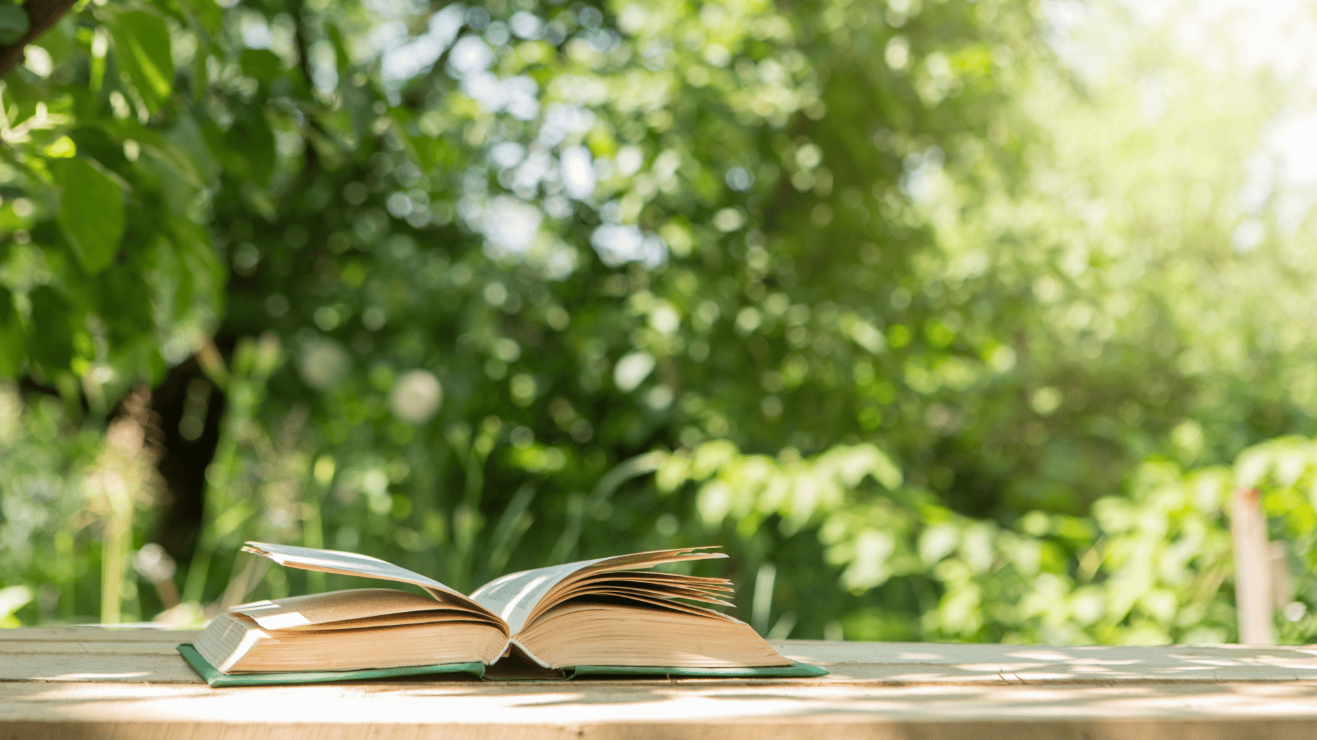 Bring your Bible on vacation with you and read His Word anywhere. 