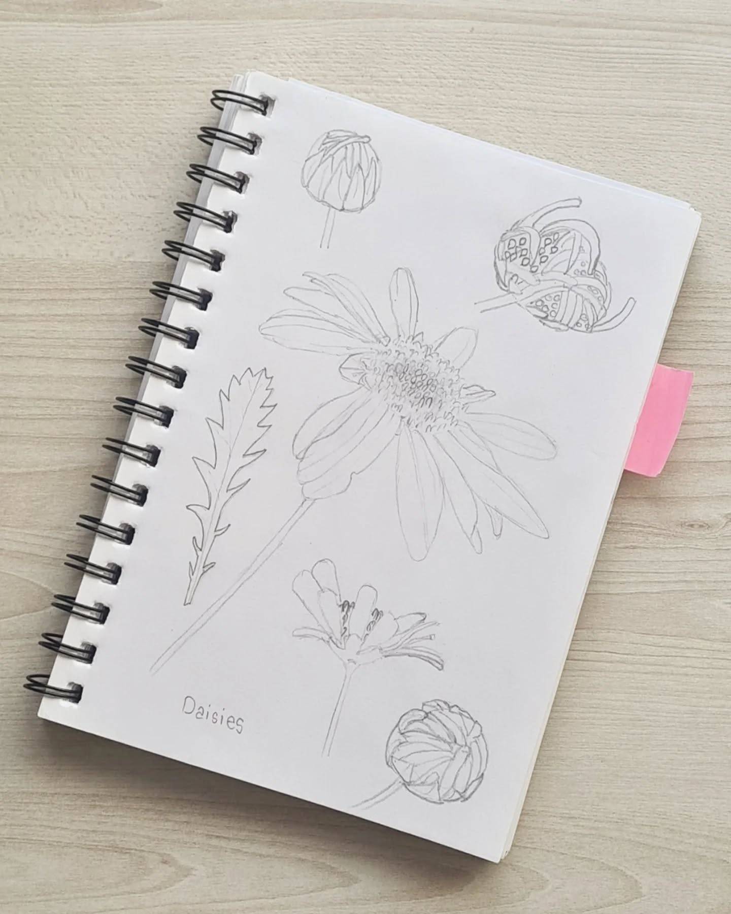 Happy Monday! 🌼
A stroll through the backyard always serves as inspiration and a chance to clear my head. Daisies are on the mind for this week!
.
The simple daisy gets a glow up tomorrow! Can't wait to share this new pattern! 
.
.
.
.
.
#illustration #illustrationartists #daisy #floralart #surfacepatterndesigner #daisies #dailyart #patterninspiration #workinprogress #behindthescenes #cottagecoreaesthetic #cottagecore