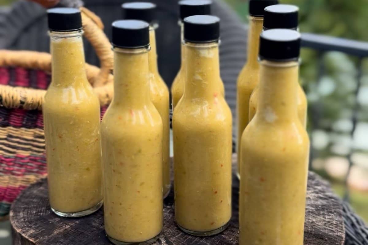 Bottles of BombDiggity Blaze hot pepper sauce lined up on a stump outdoors