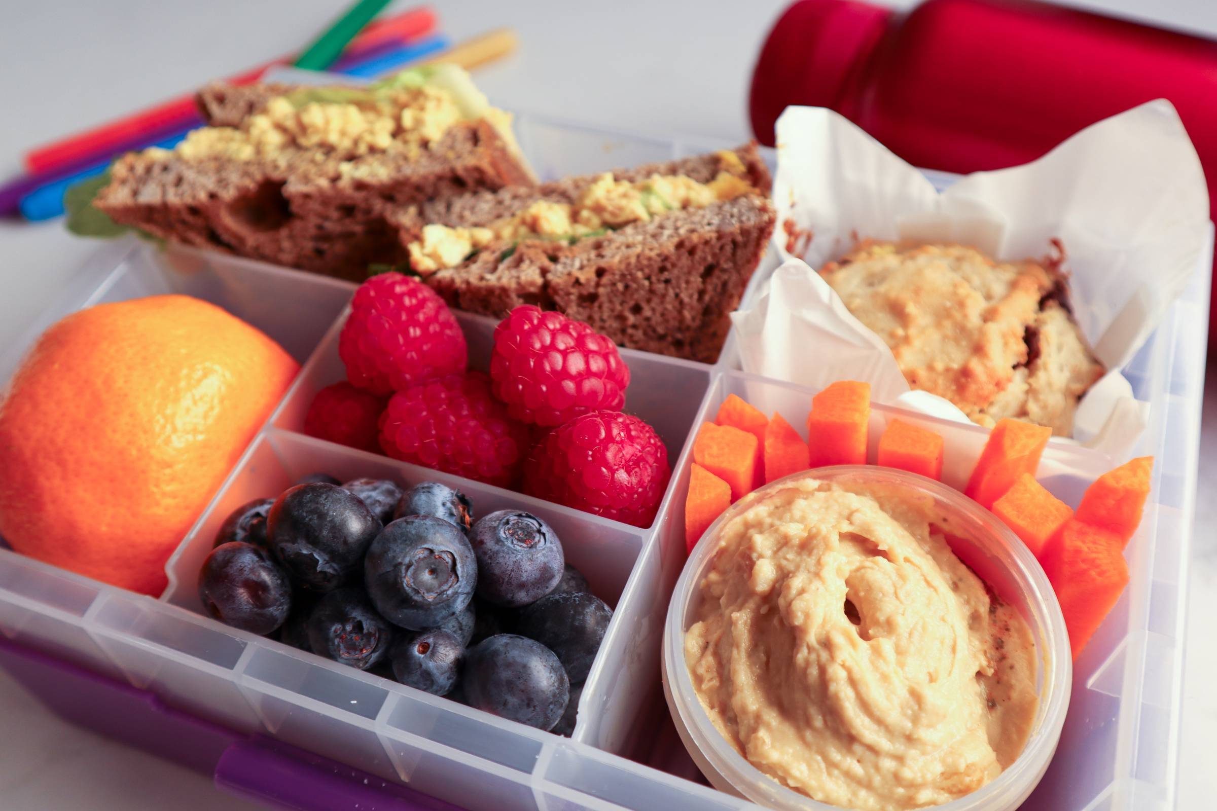 Vegan Lunchbox Collection Presale