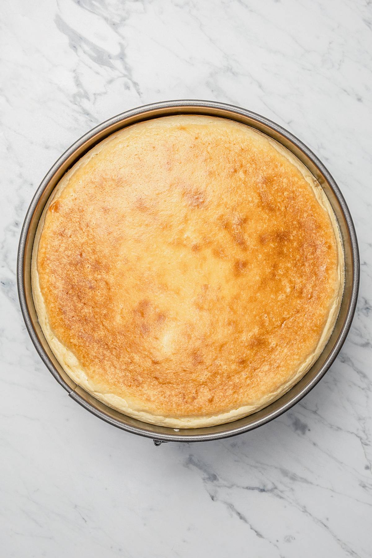 A cheesecake in a springform pan.