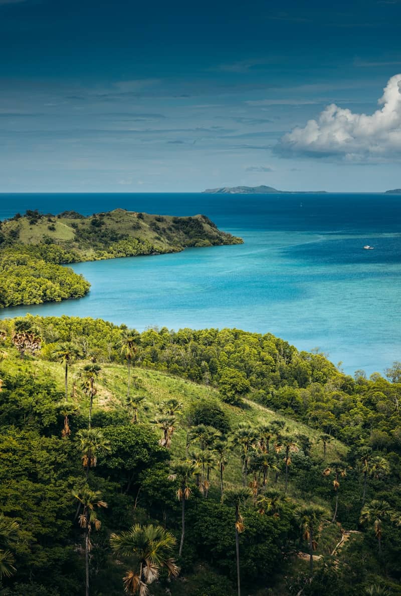 A view of the ocean from a hill