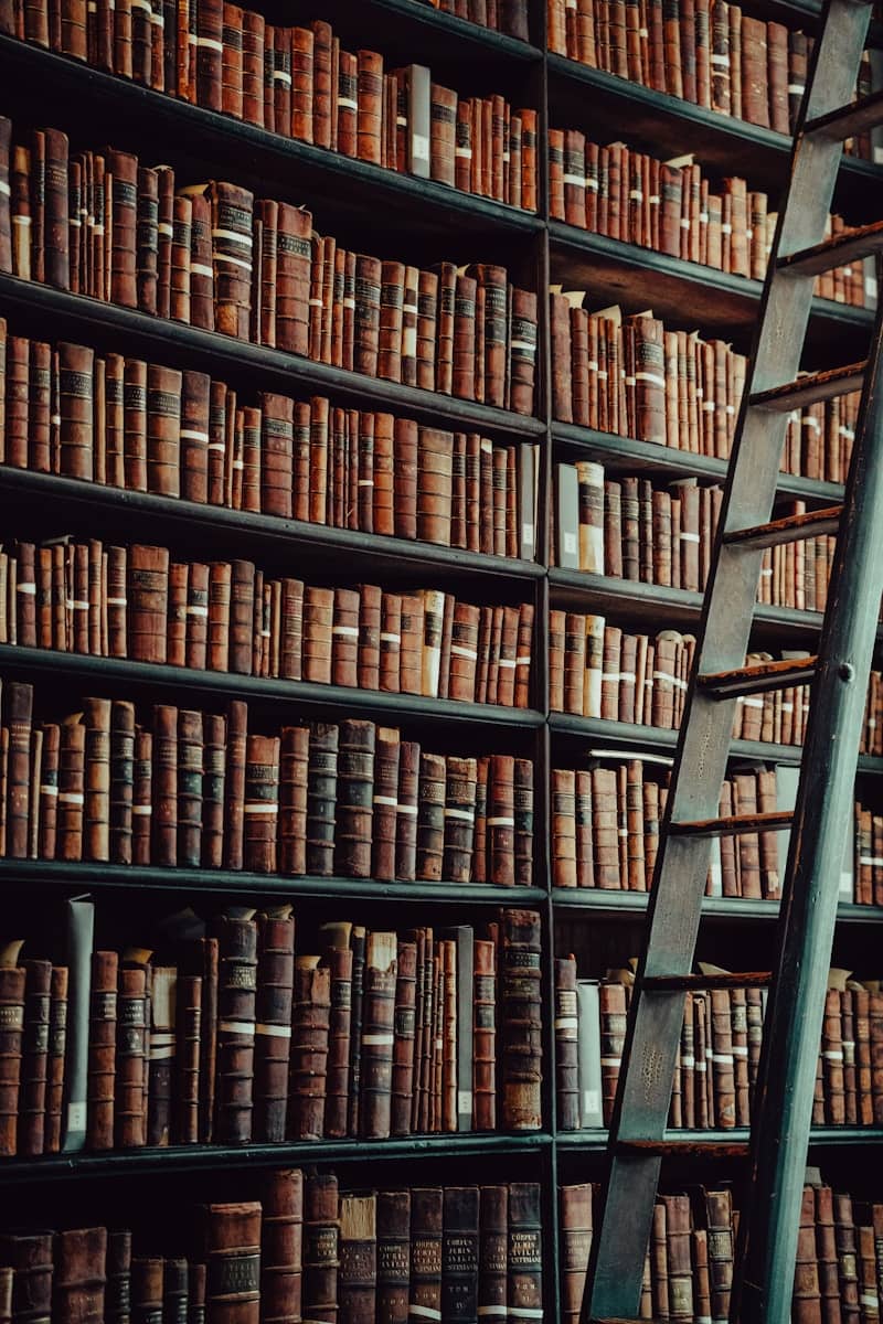 Tall wooden ladder leaning against library bookshelves.