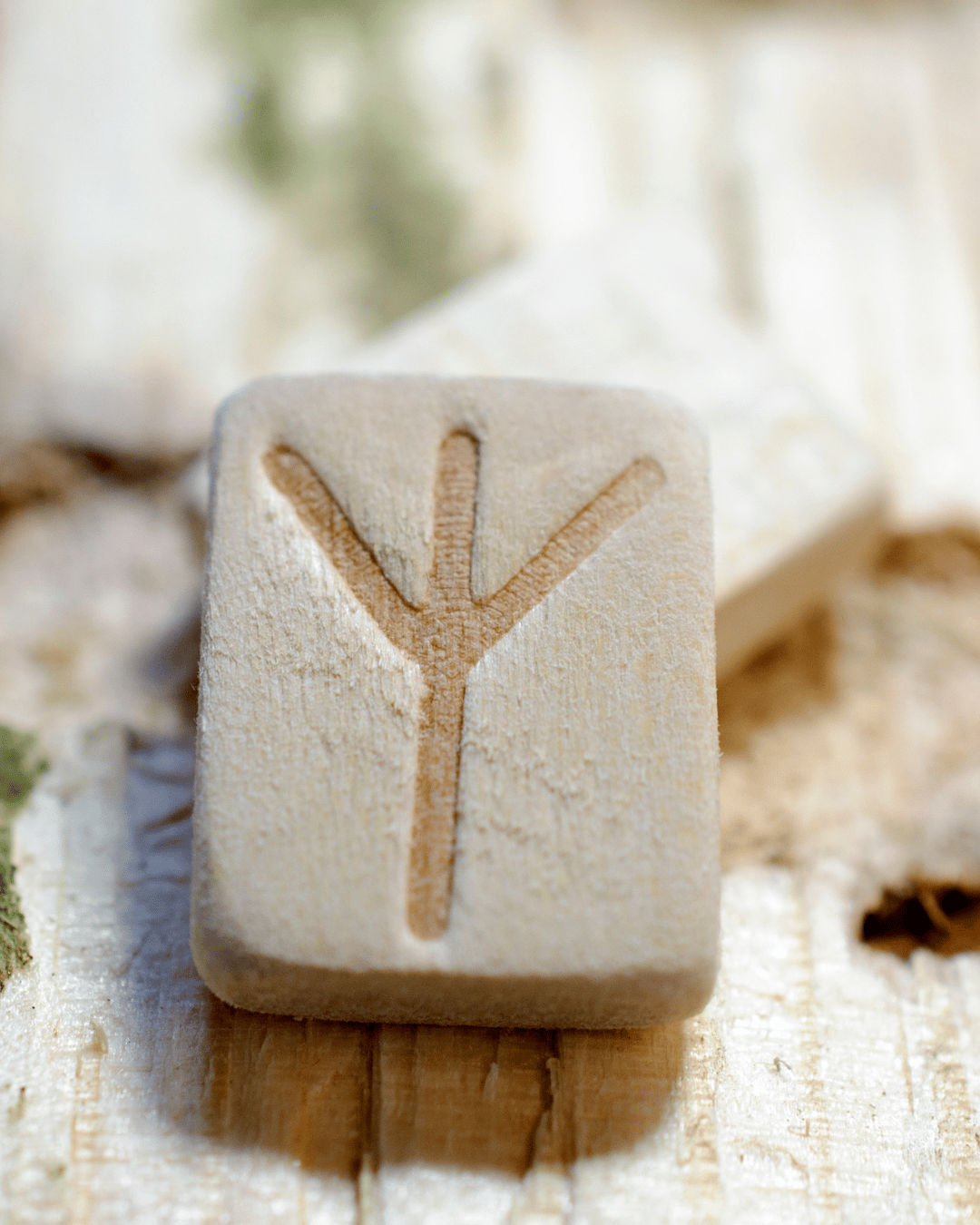 Algiz Rune