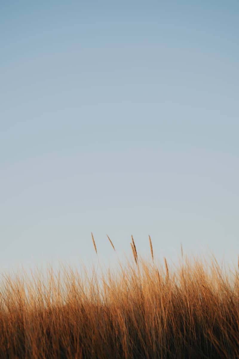 Transition Clarity Intensive