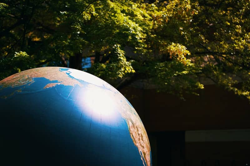A globe is in front of a green tree.