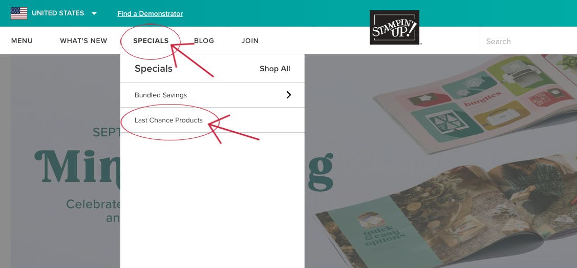 how to find the deals when shopping on the stampin up website 